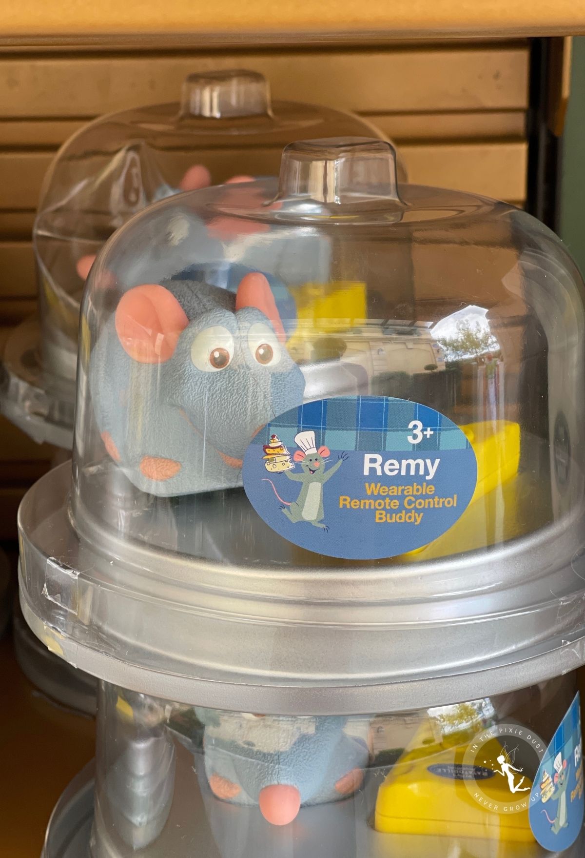 Remy mouse platter